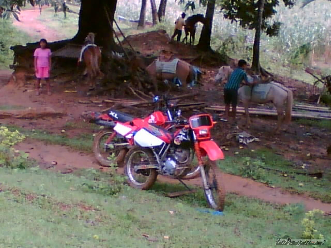 Bike Photo 973879