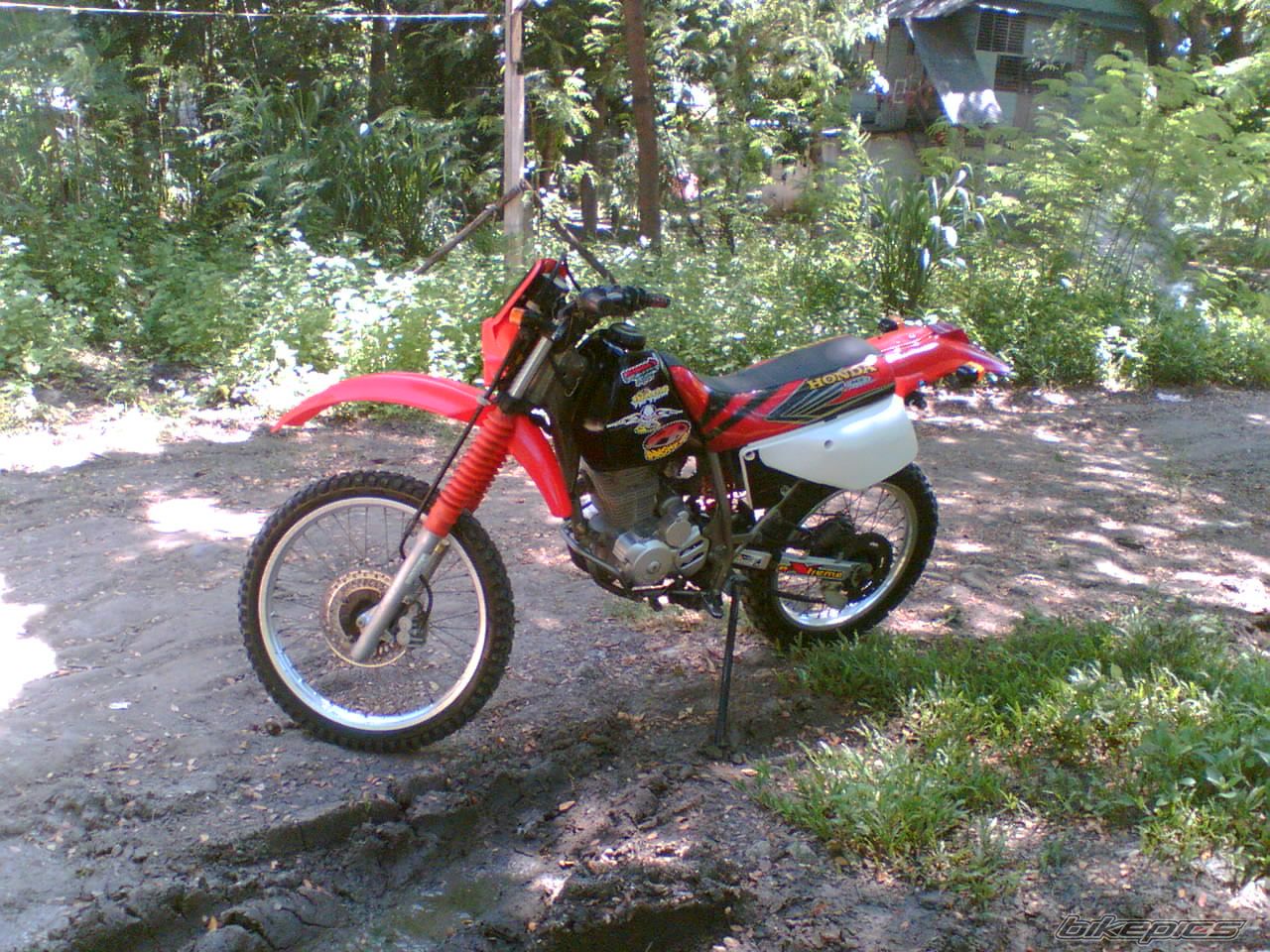 Bike Photo 973890