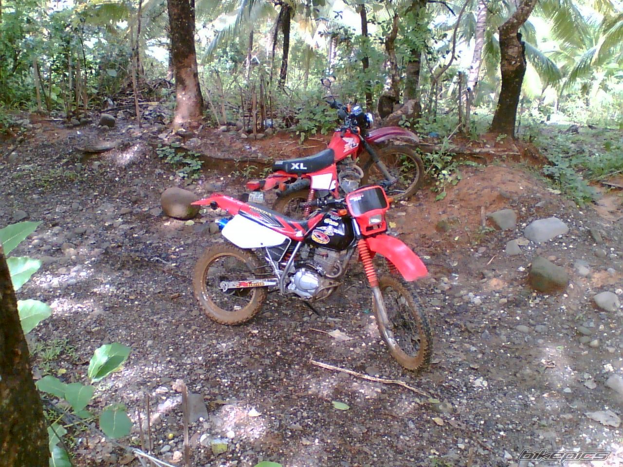 Bike Photo 973917