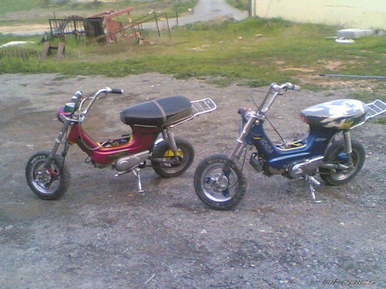Photo 974055