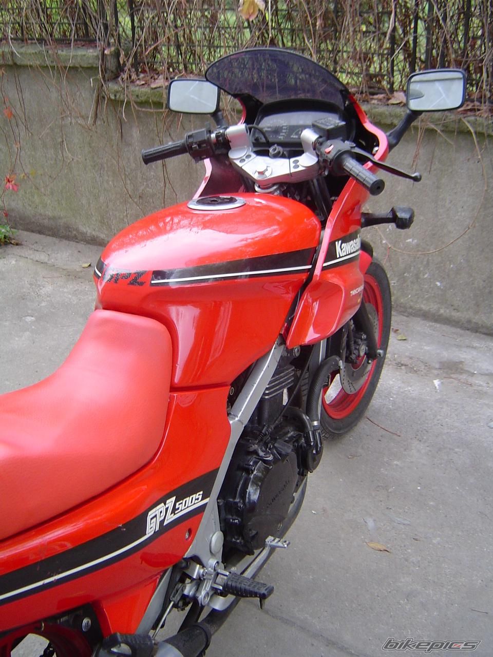 Photo 974096