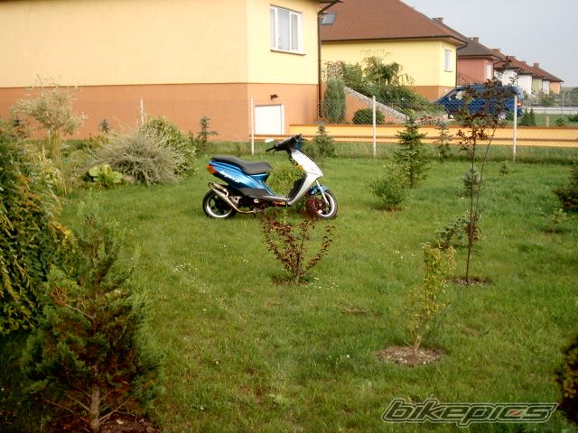 Photo 974286