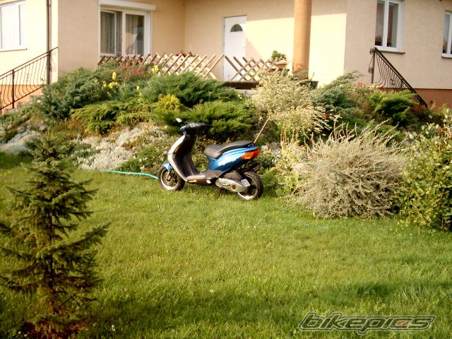 Photo 974316
