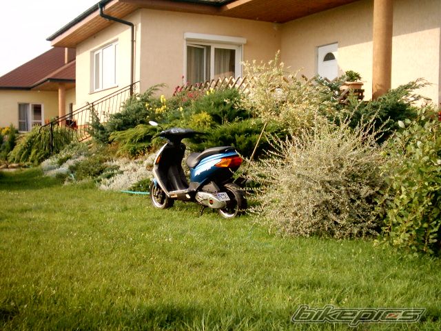 Photo 974318