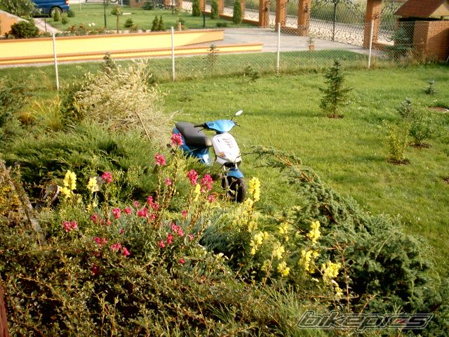 Photo 974321