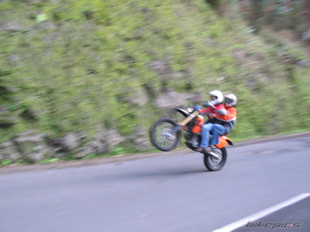 Photo 97443