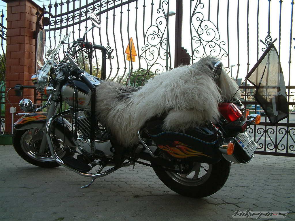 Bike Photo 974440