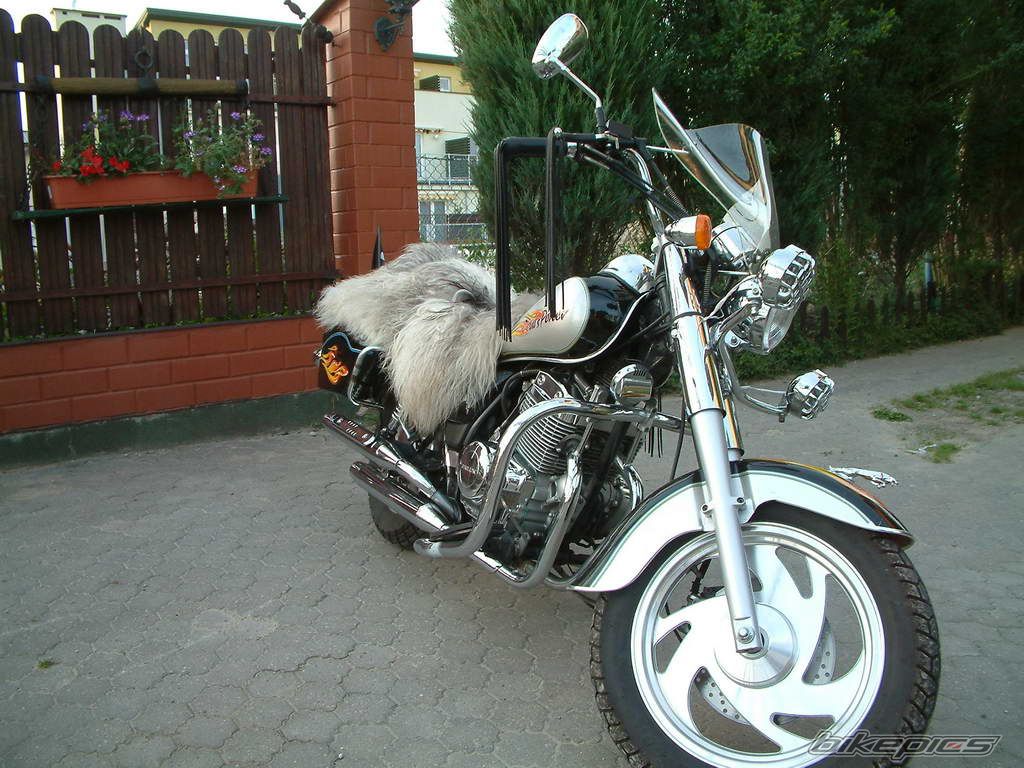 Bike Photo 974441