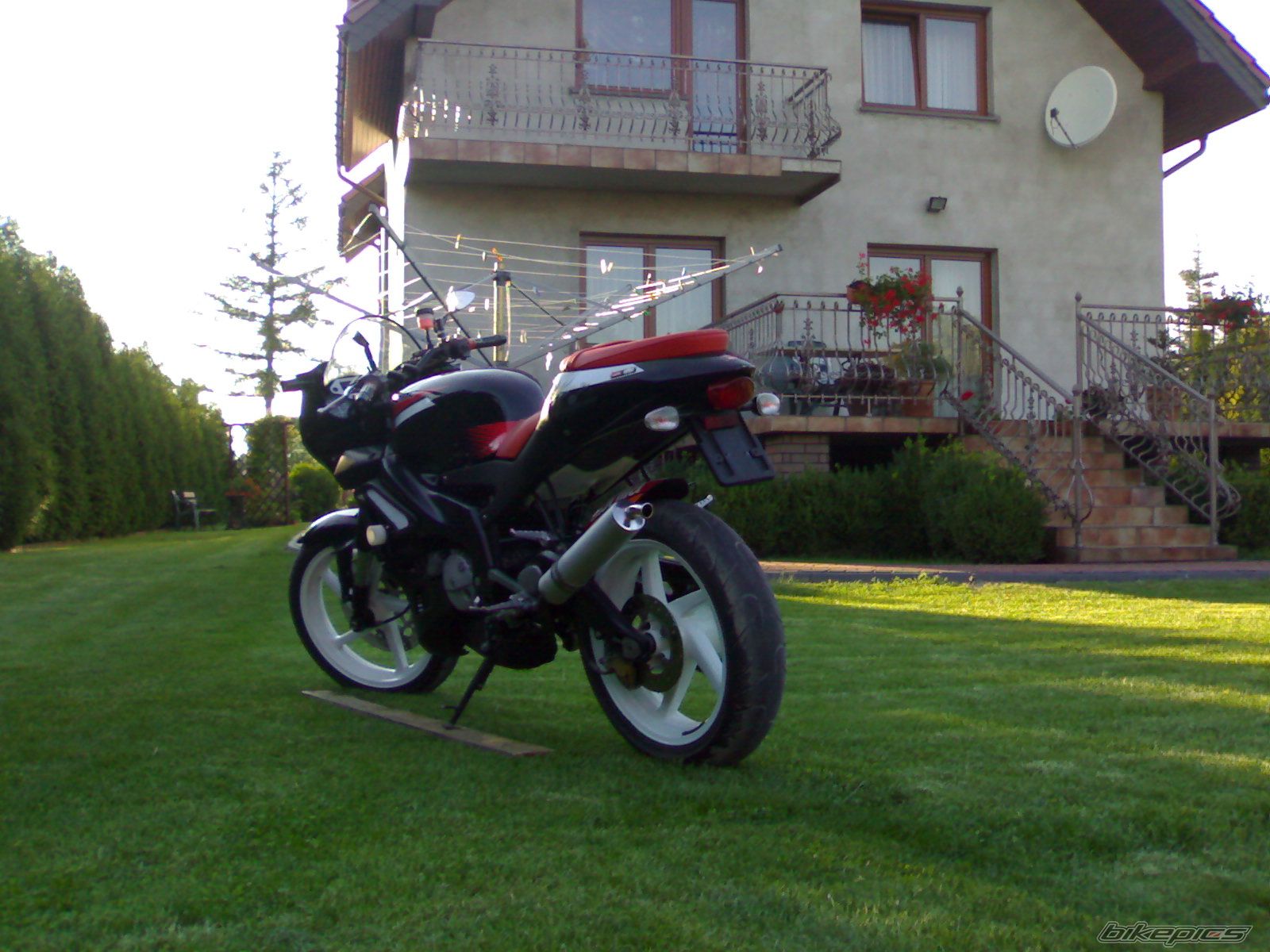 Photo 974554