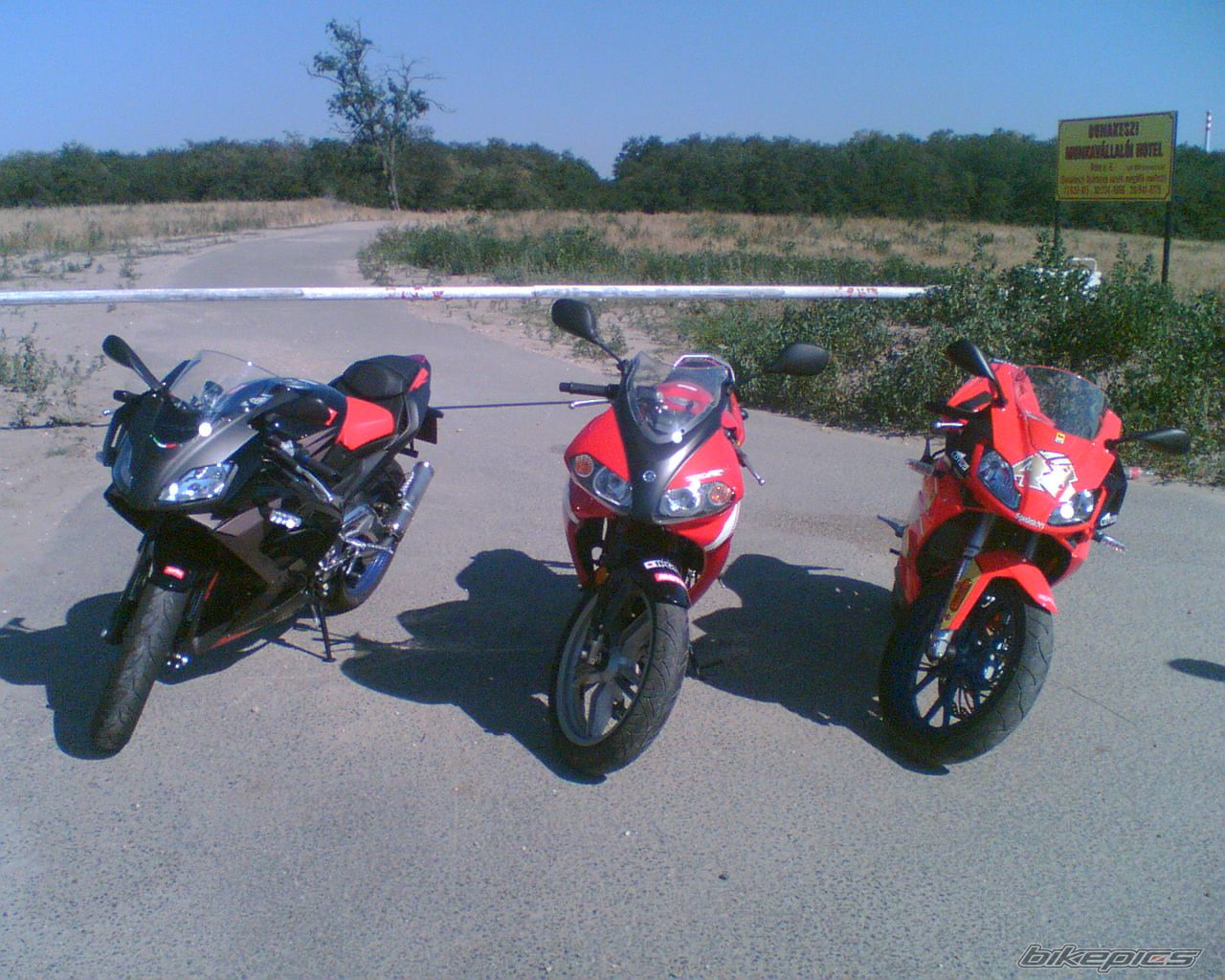 Photo 975095