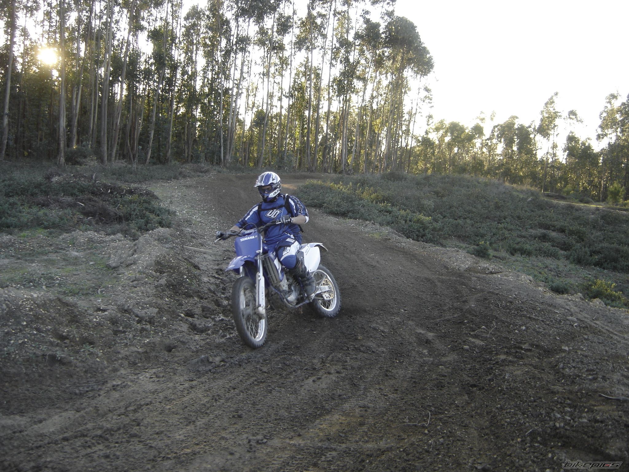 Photo 975227
