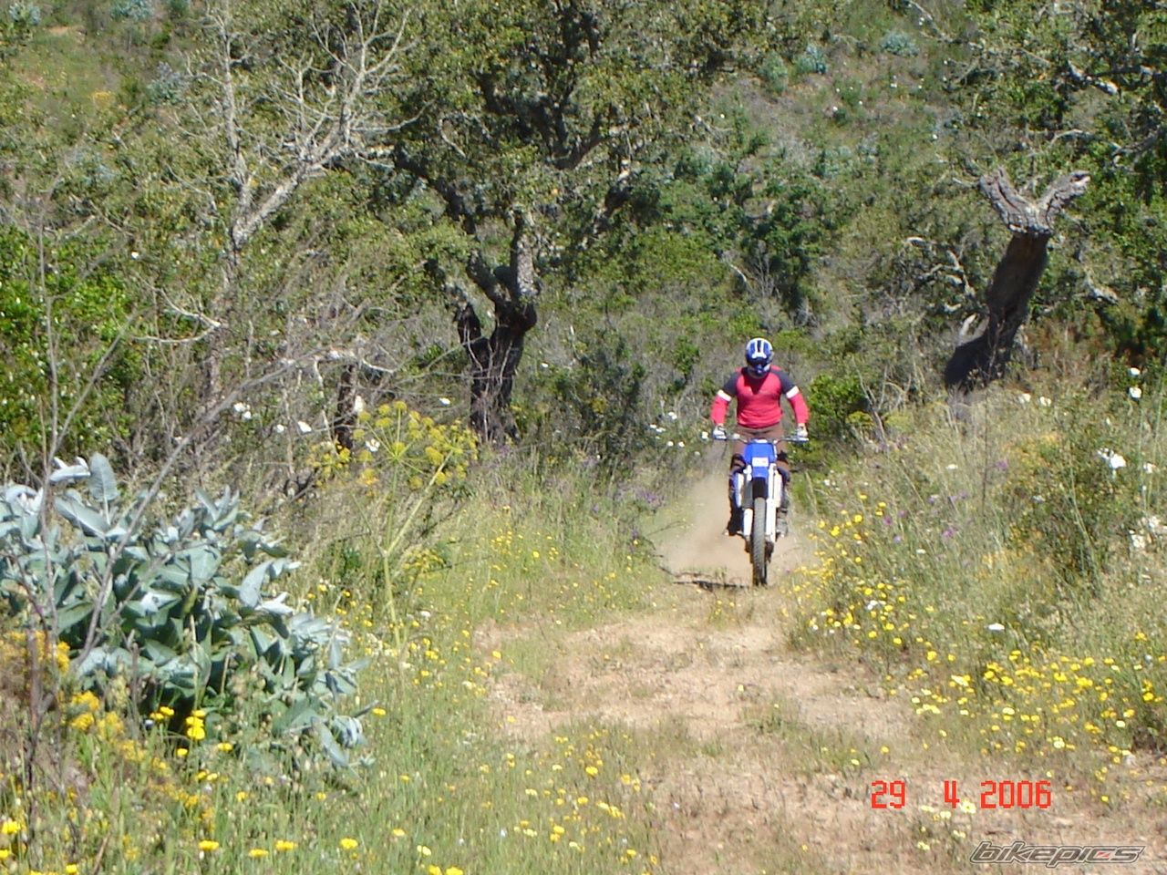 Photo 975252