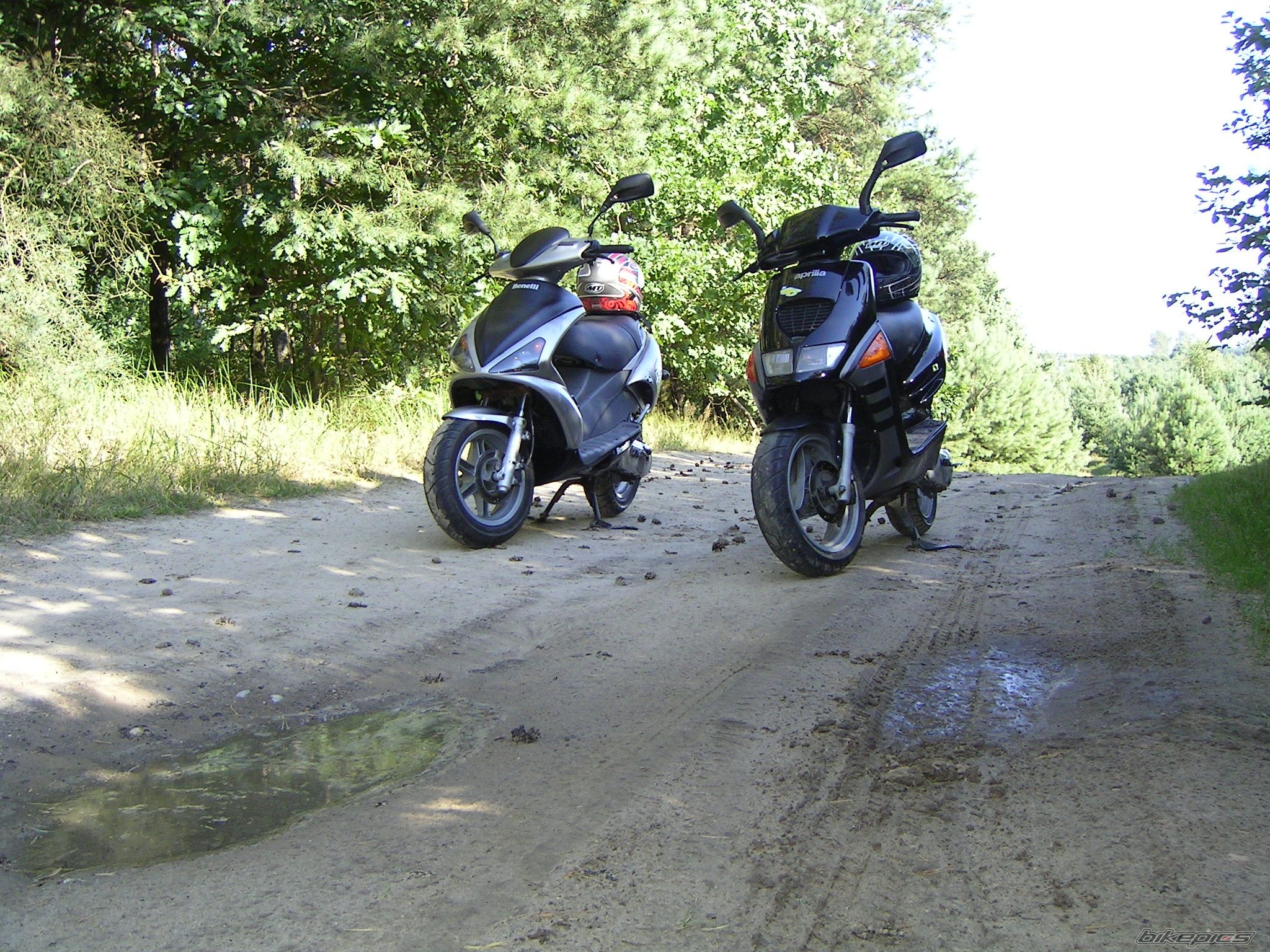 Photo 975318