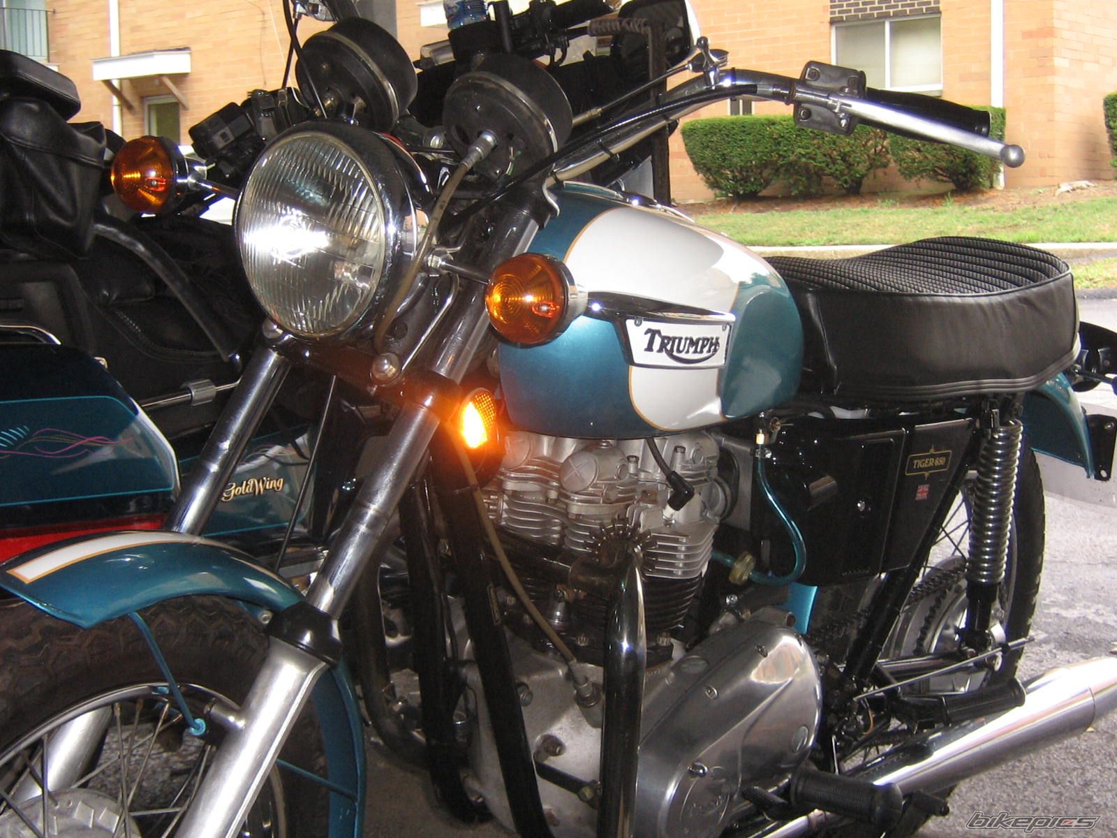 Photo 975322