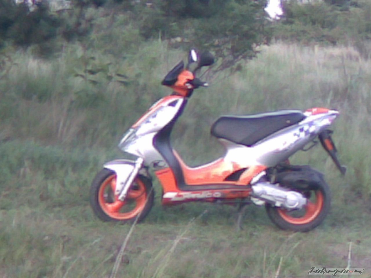 Photo 975382