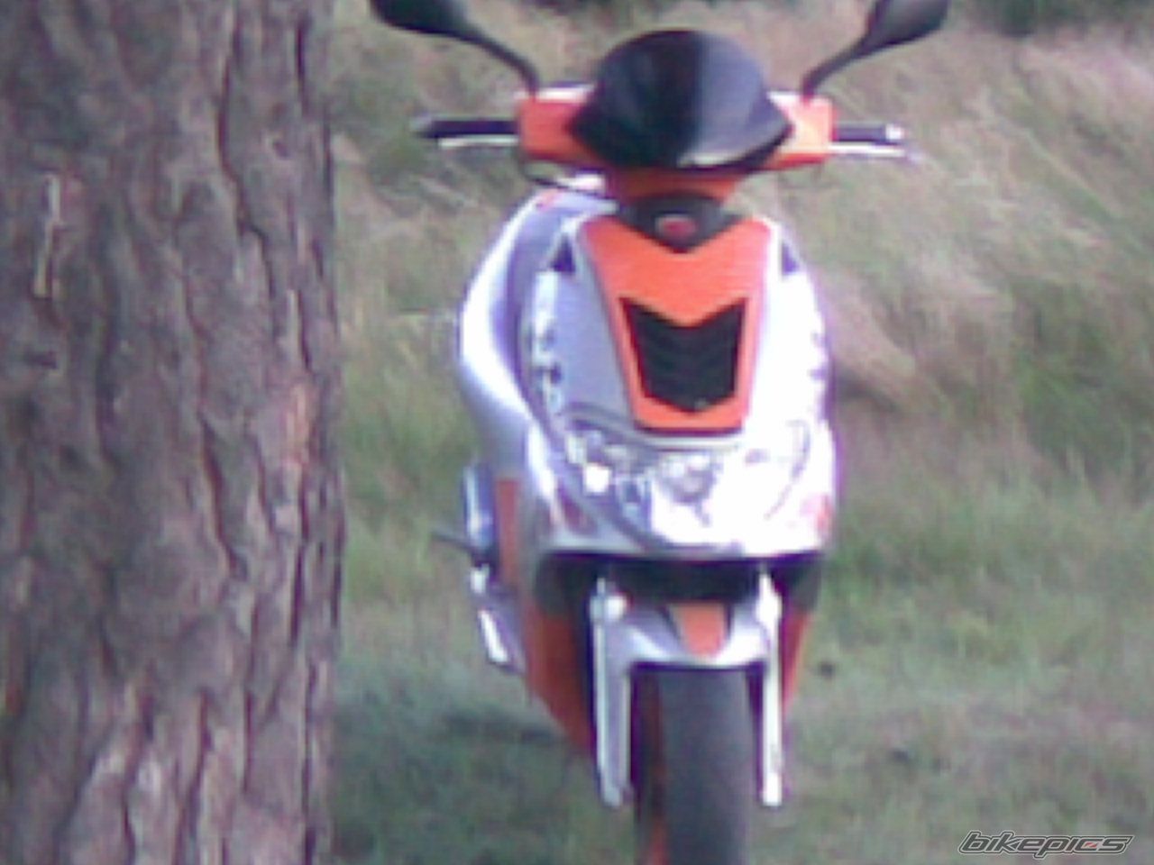 Photo 975384