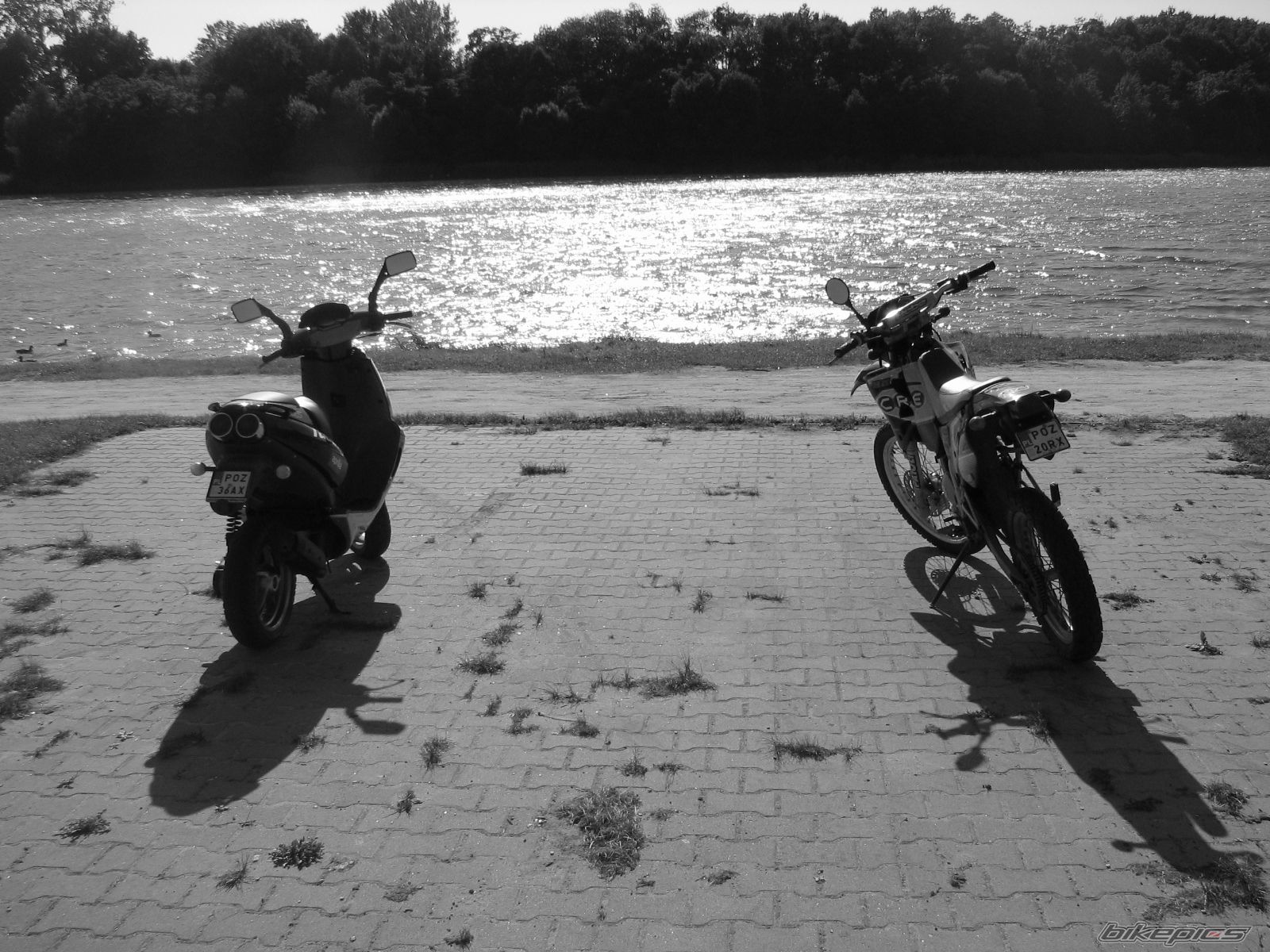 Photo 975392