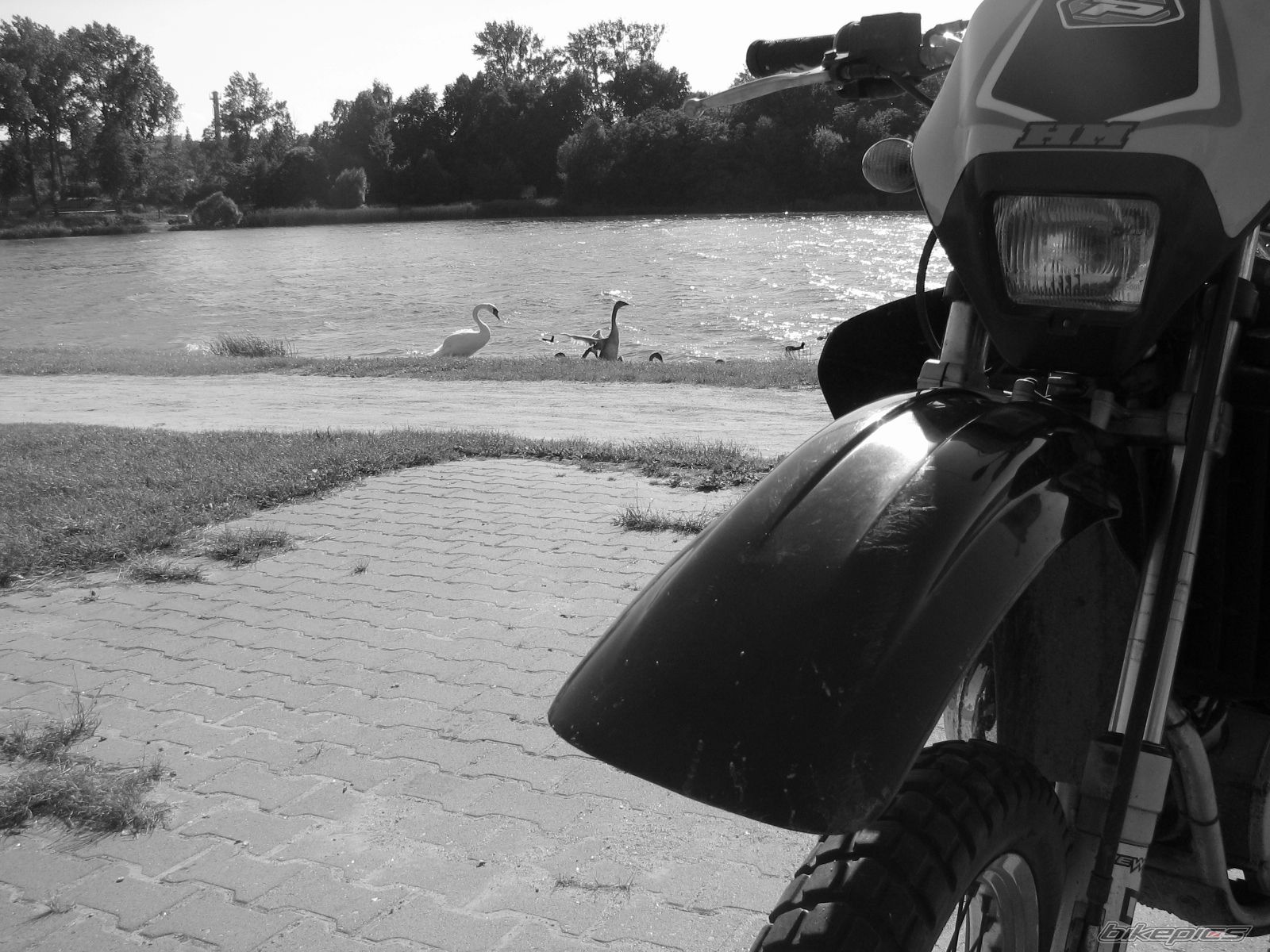 Photo 975399