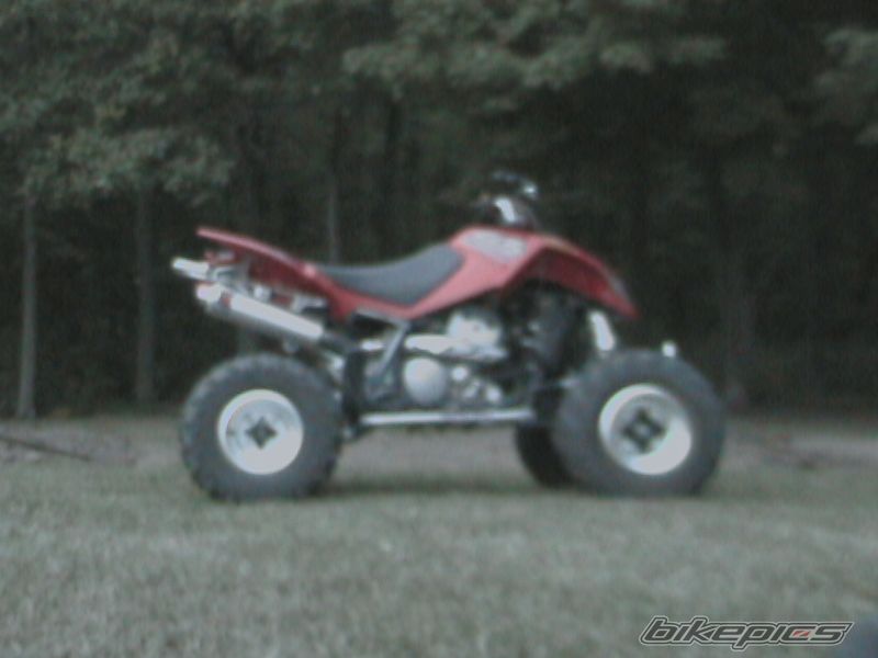 Photo 975415