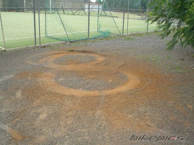 Photo 97542