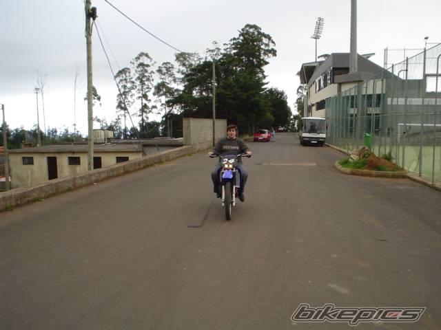 Photo 97543