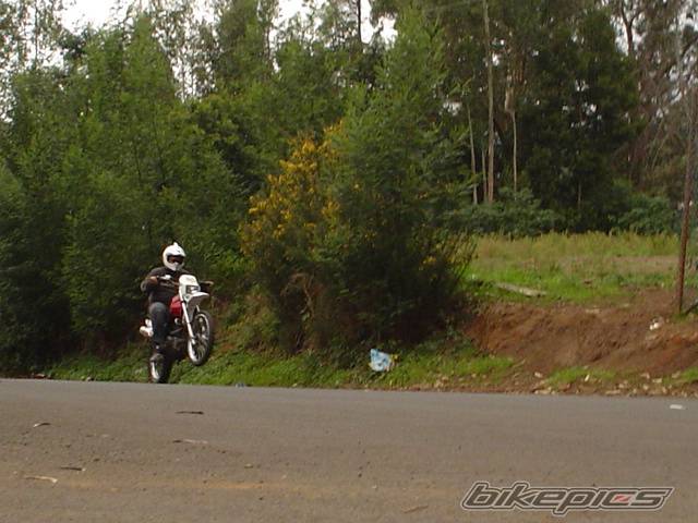 Photo 97550