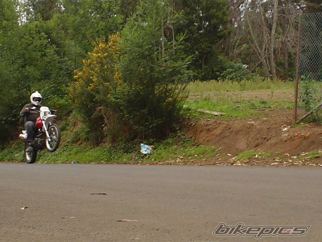 Photo 97551