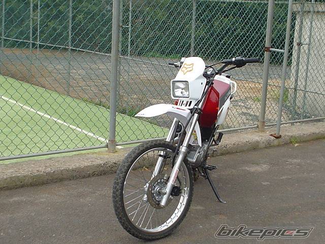 Photo 97552