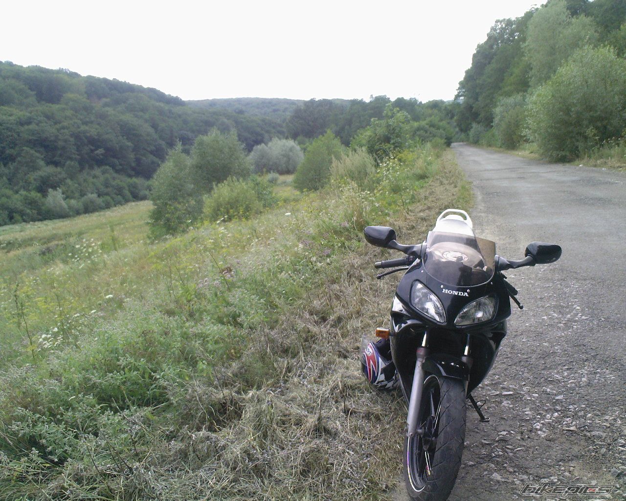 Photo 975660