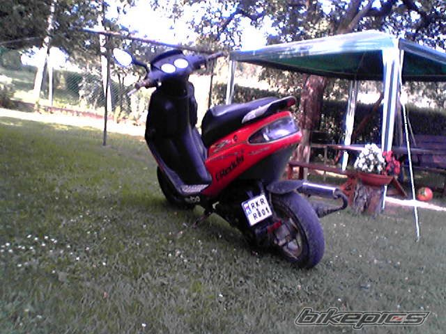 Photo 975671