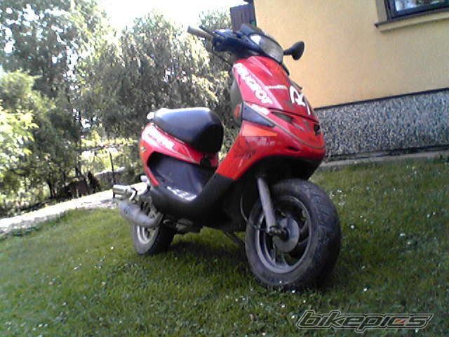 Photo 975678