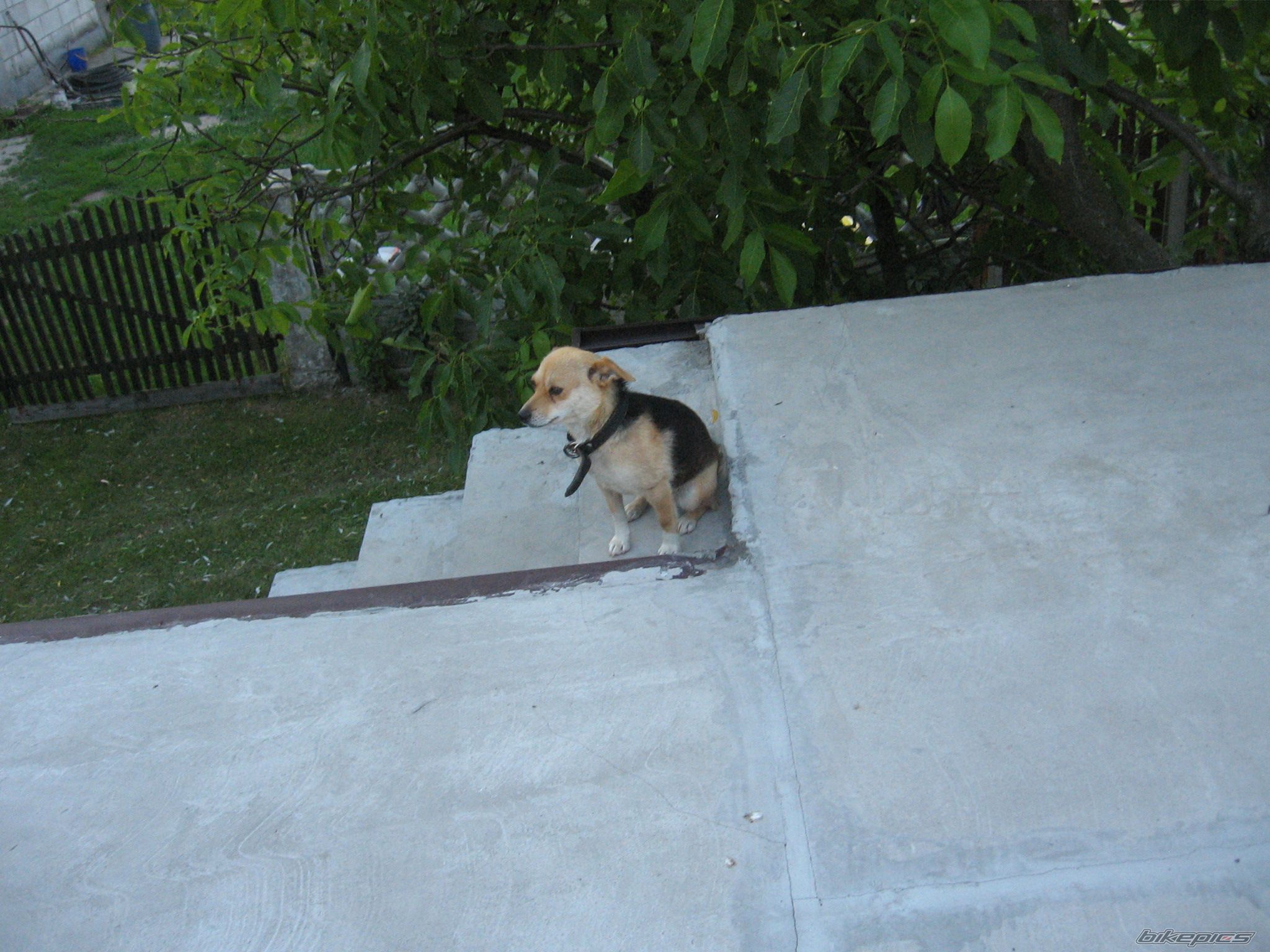 Photo 976295