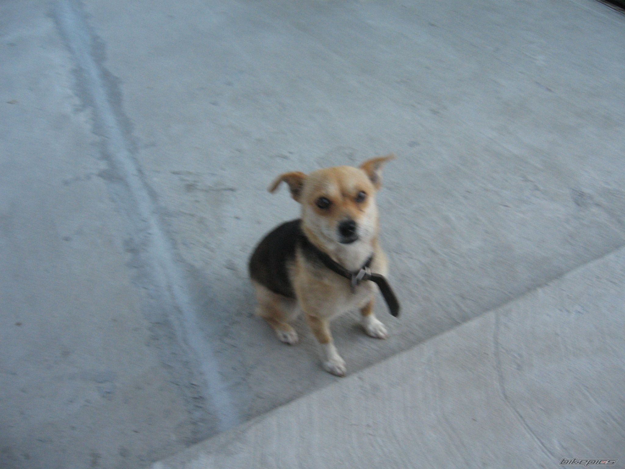 Photo 976299
