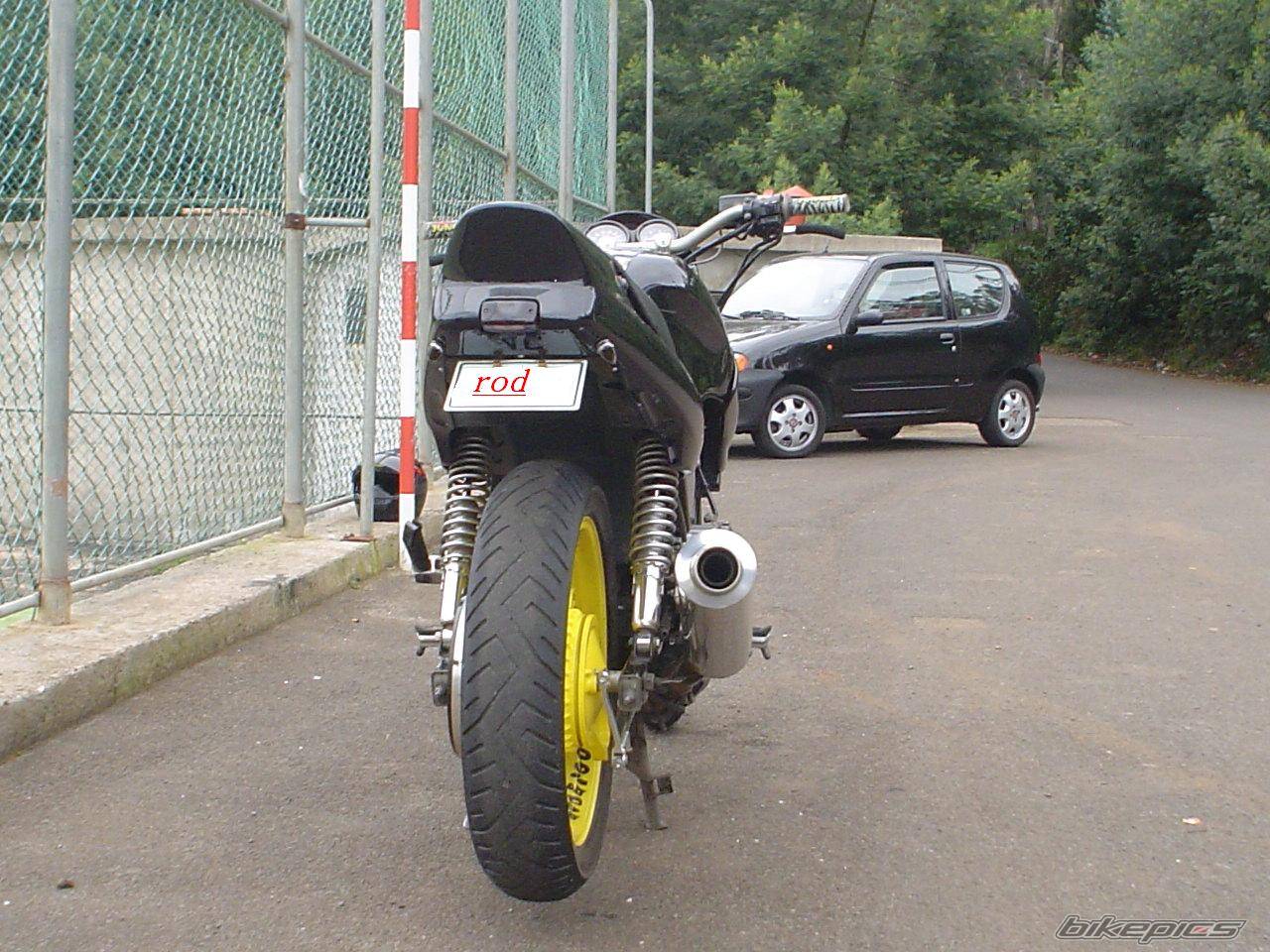 Photo 97633