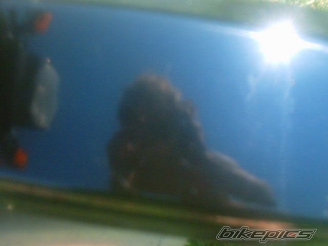 Photo 976421
