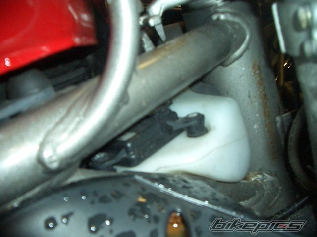 Photo 976434