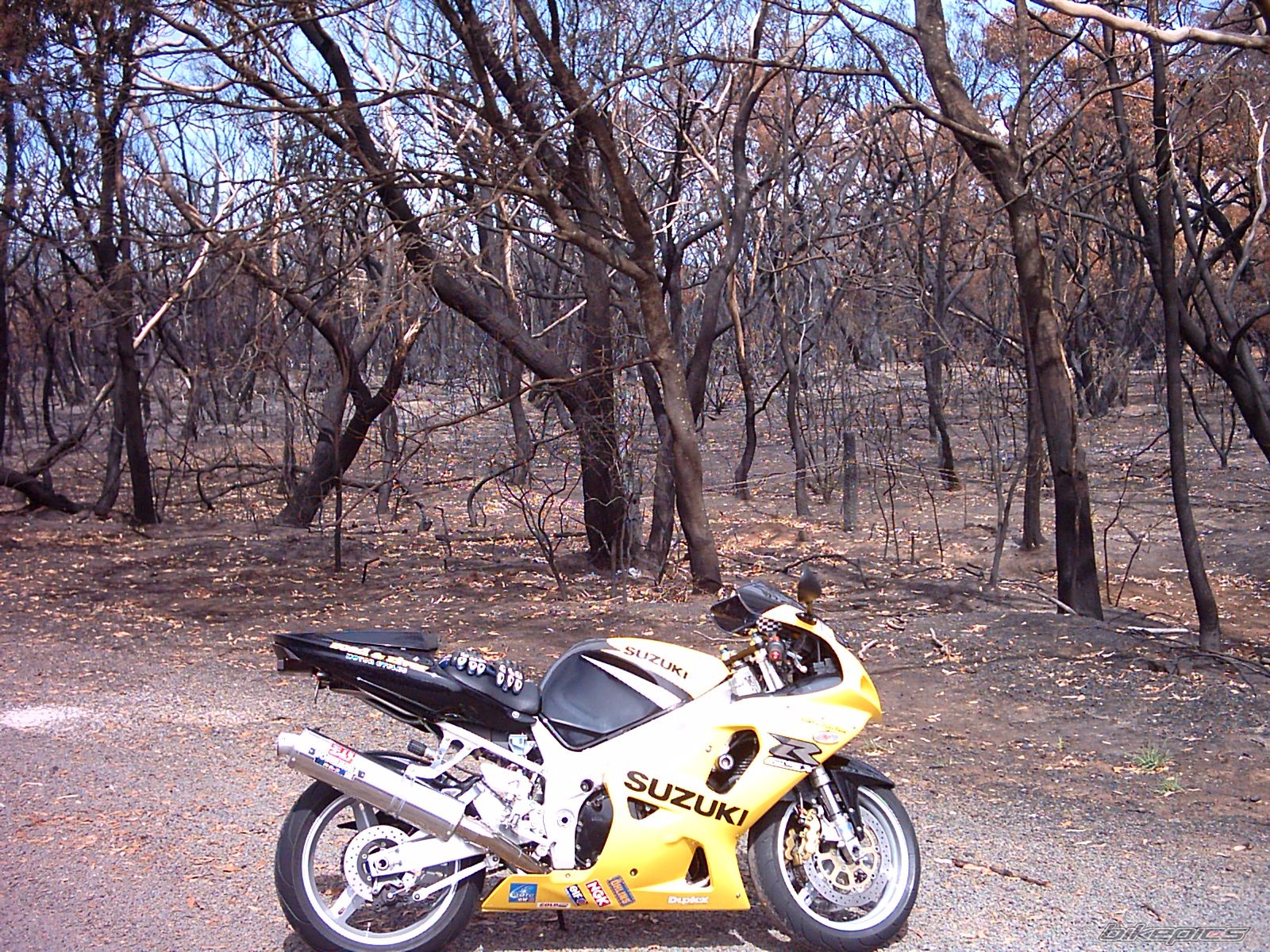 Photo 976690
