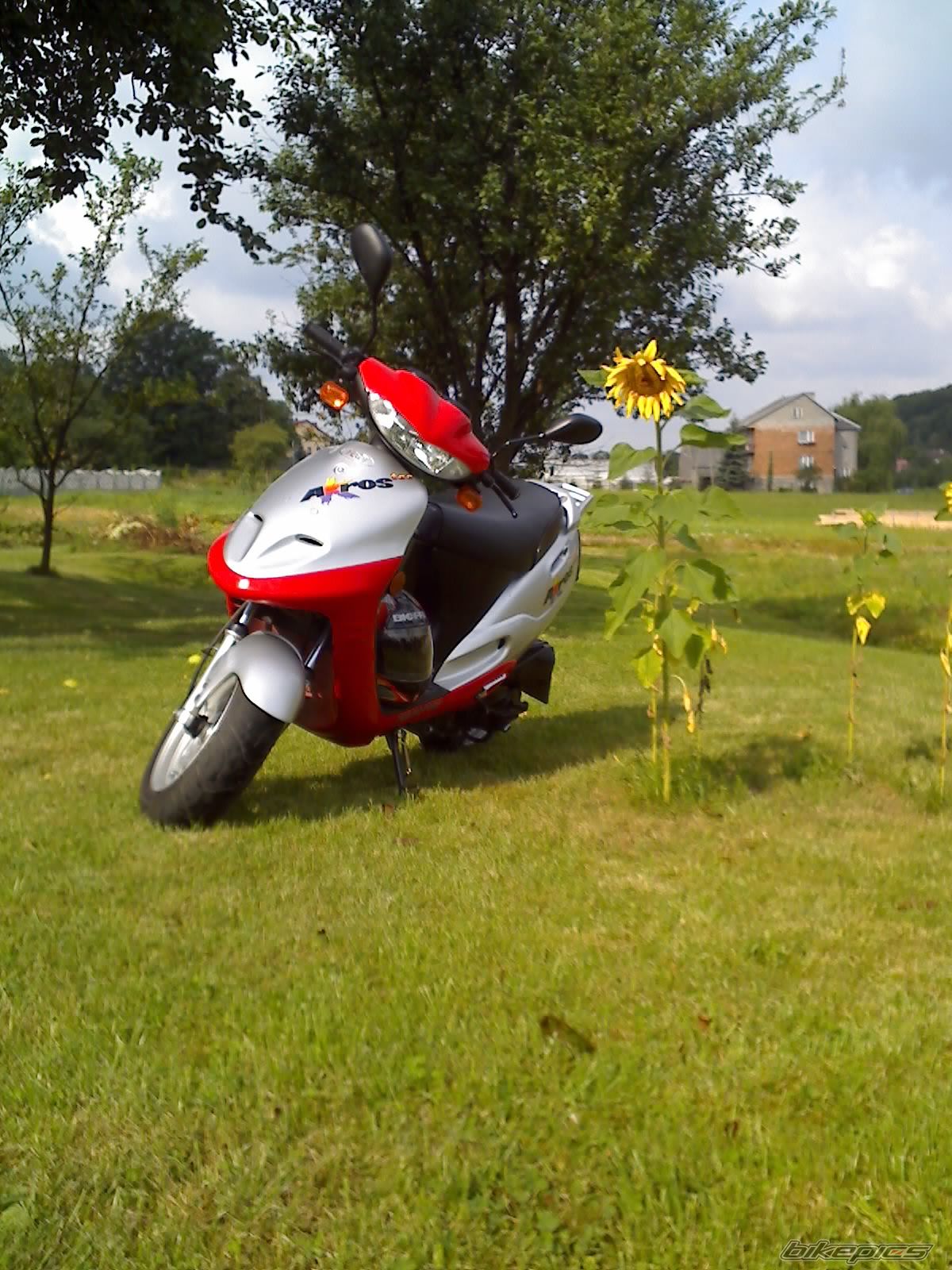 Photo 976750