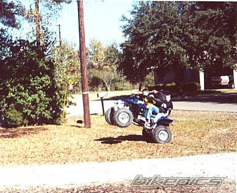 Photo 9768