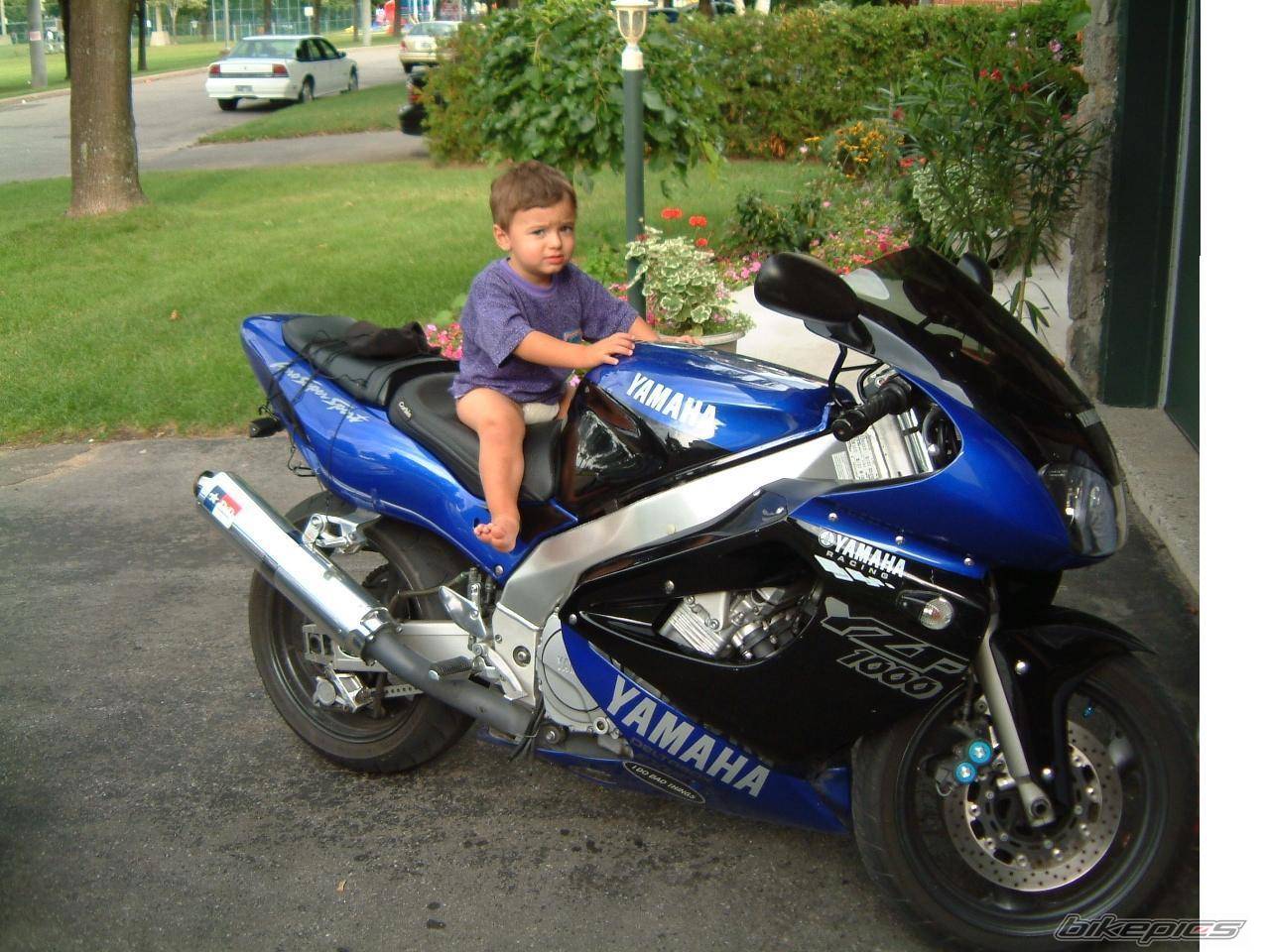 Photo 97691