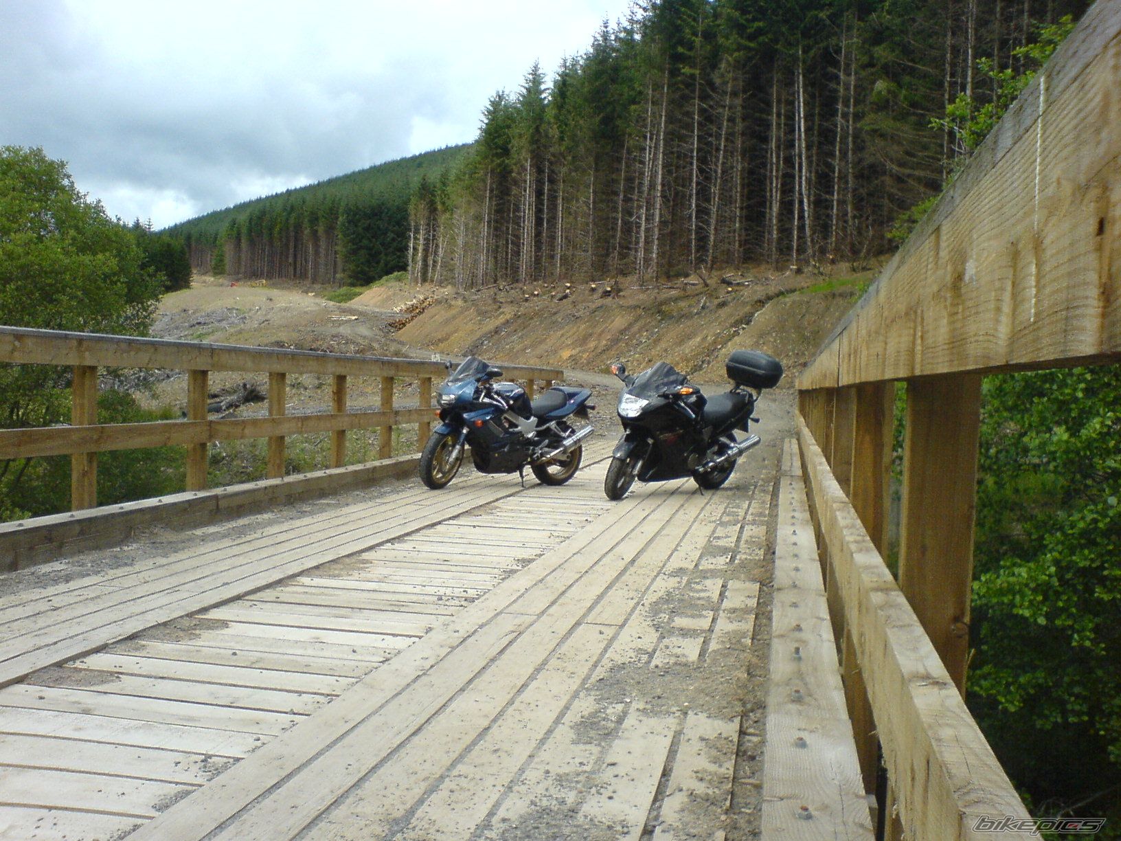 Photo 976955