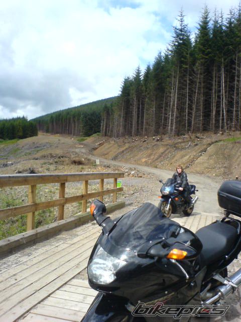 Photo 976959