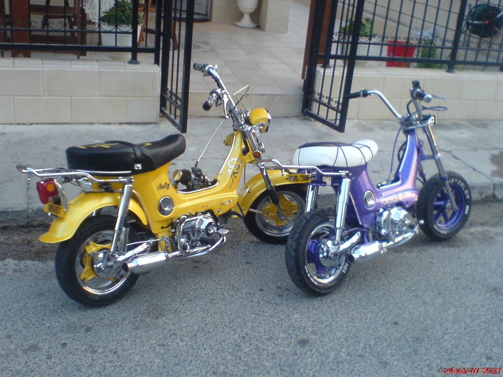 Photo 977282
