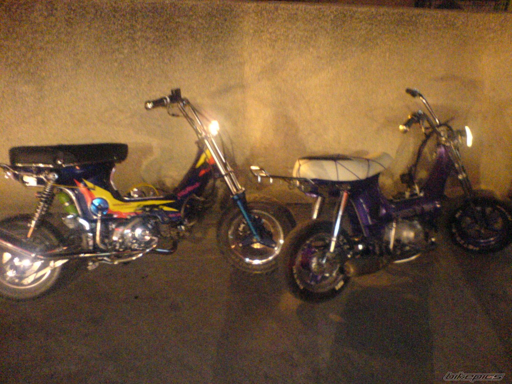 Photo 977309