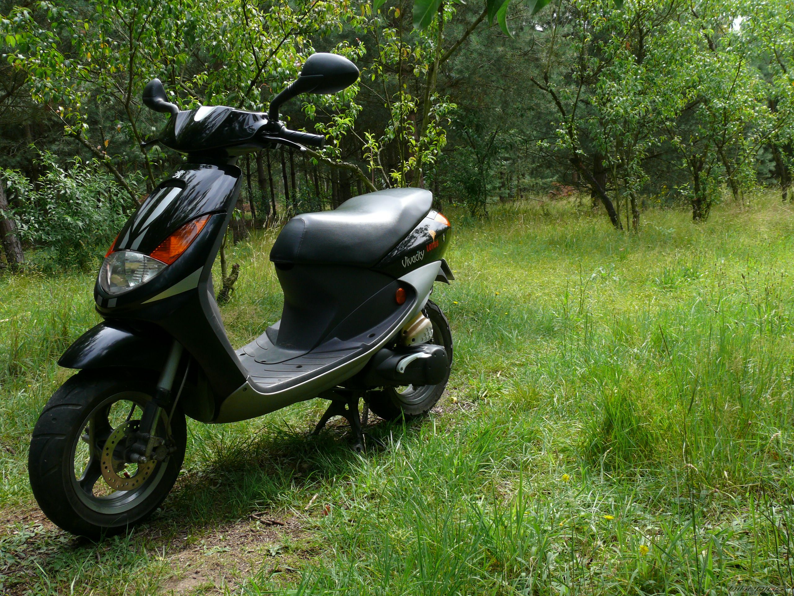 Bike Photo 977348