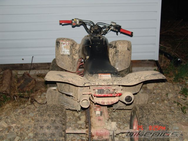 Photo 977427