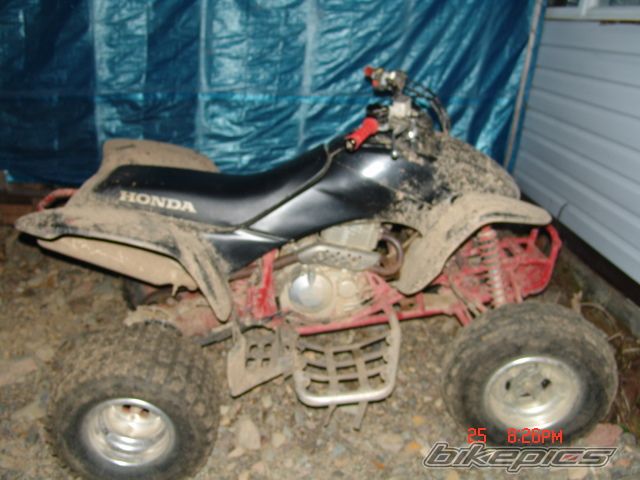Photo 977429