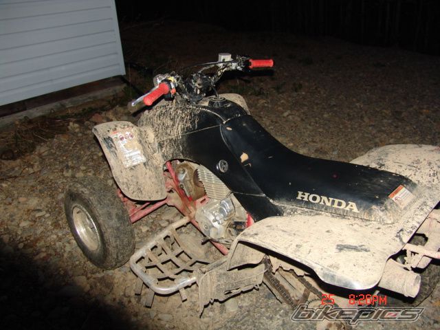 Photo 977432