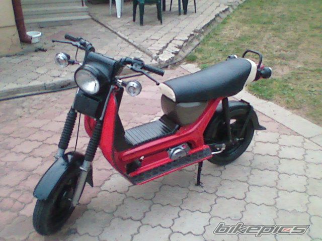 Photo 977450