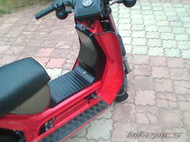 Photo 977453